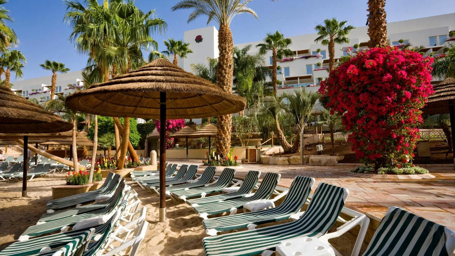 ***** Szálloda Royal Garden By Isrotel Collection Eilat Izrael